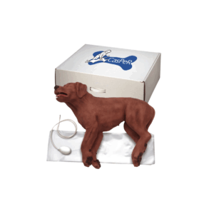 CasPeR, el perro de RCP