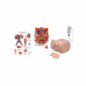 Conjunto de Cateterismo Urinario Ambos Sexos