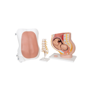 Conjunto de Laboratorio de Anestesiología