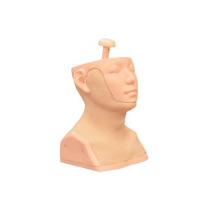 Entrenador de palpación de cabeza y cuello