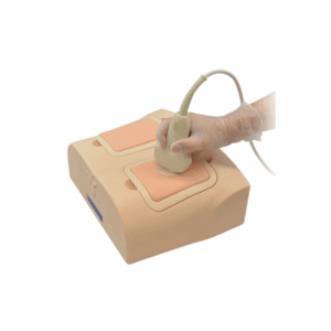 Entrenamiento en ecografía pulmonar Phantom ECHOLUNG