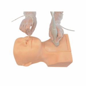 Fantoma de alimentación por sonda guiada por ultrasonido