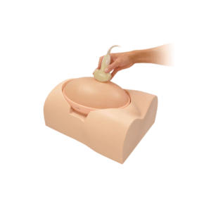 Fantoma de ecografía fetal "SPACE FAN-ST"