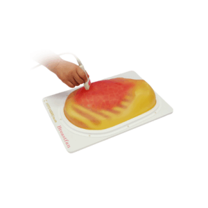 Fantoma de ecografía mamaria "BREAST FAN"