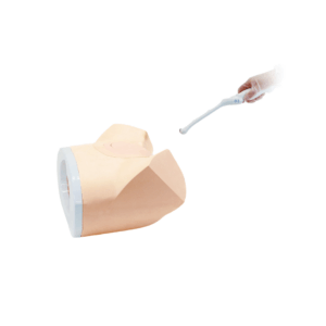 Fantoma de ecografía pélvica obstétrica