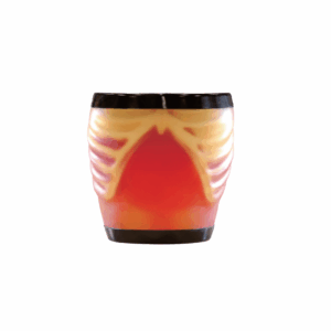 Fantoma de entrenamiento para ecografía "ABDFAN"