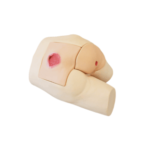 Simulador de úlceras por presión