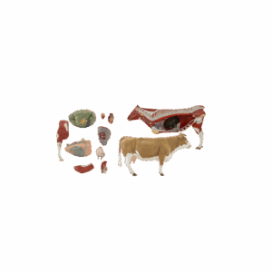 Vaca