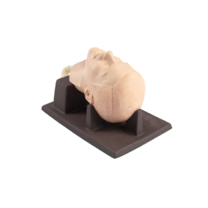 Entrenador de varilla cricoidea STD