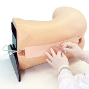 Simulador de Anestesia Epidural MW3