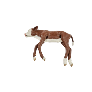 Hereford – Modelo para el Manejo de Distocia en Terneros, Color Marrón