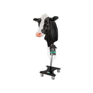 Holstein Venopunción e inyección intramuscular con soporte