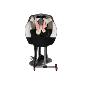 Modelo Avanzado de Theriología Bovina Hereford Negro