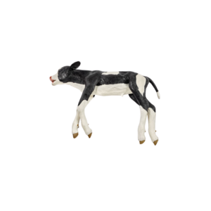 Modelo de ternero Holstein para el estudio y manejo de la distocia