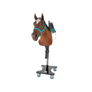 Modelo nasogástrico equino VSI