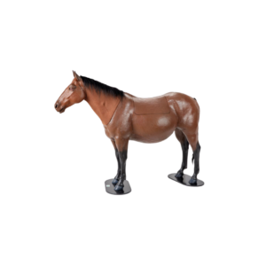Simulador de Distocia Equina con Sistema Nasogástrico