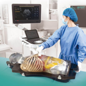 Simulador Diagnóstico Integrado por Ultrasonido (Transparente)